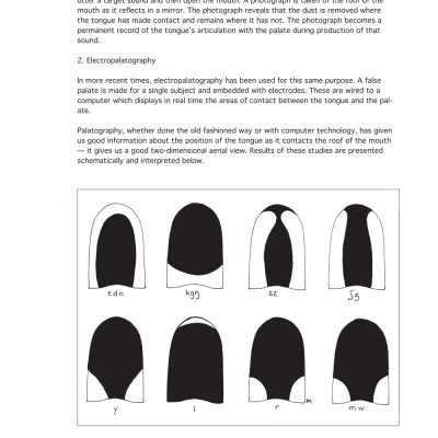 Oral-Motor Techniques In Articulation And Phonological Therapy ...